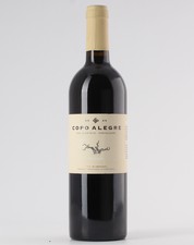 Copo Alegre Vinhas Velhas 2020 Red 0.75