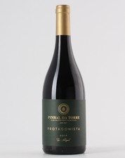 Pinhal da Torre Protagonista 2019 Red 0.75